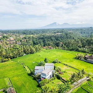 maple-ridge-ubud-villas.ubudhotelsnow.com/